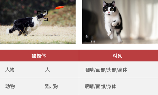 兴发xf(中国区)游戏有限公司