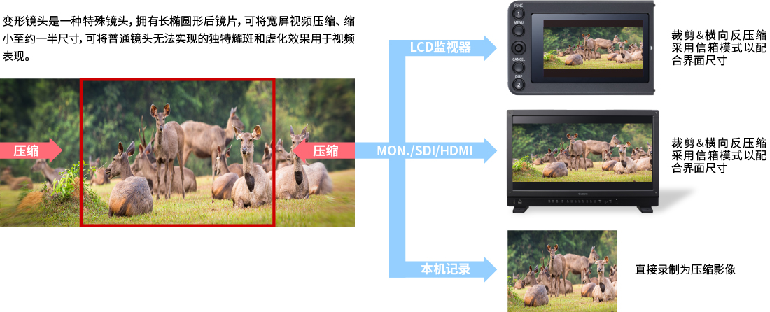 兴发xf(中国区)游戏有限公司