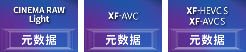 兴发xf(中国区)游戏有限公司