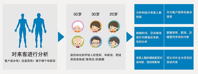 男女、春秋层分析系统
