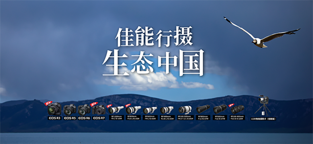 兴发游戏xf行摄 生态中国