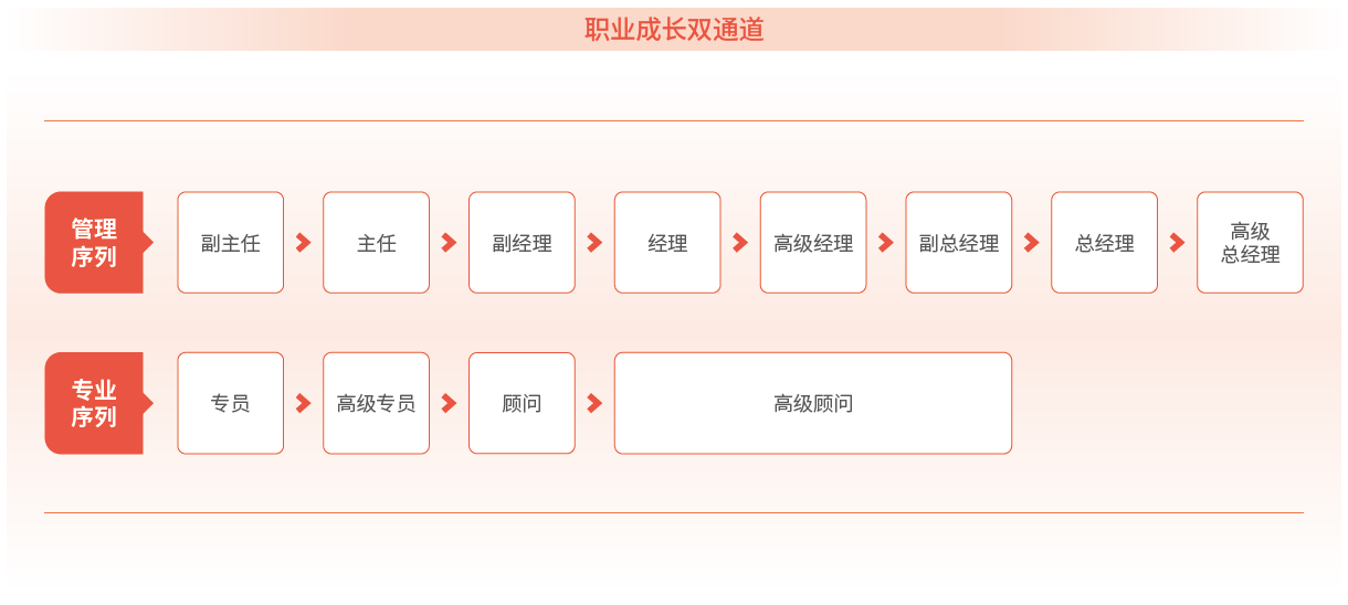 职业成长双通路